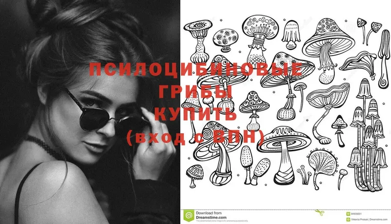 Псилоцибиновые грибы Psilocybine cubensis  закладки  гидра ссылка  Пугачёв 